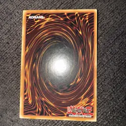 YuGiOh Cards - Blackwing Full Armor Master - LDS2-EN044 **Near Mint** - Image 2