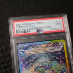 Pokemon Terapagos ex 170/142 Stellar Crown Special Illustration Rare Holo PSA 9 - Image 2