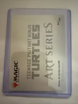 MTG: Teenage Mutant Ninja Turtles Art Series - Plains Art Card #36 - Image 4