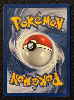 1st Edition Totodile - Neo Genesis - #81/111 - Vintage Pokemon Card 2000 WOTC - Image 2