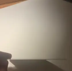 The Pokemon Company Morpeko 206/182 SV04 Paradox Rift Illustration Rare Holo EN - Image 4