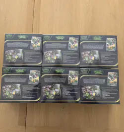 Pokemon TCG Perfect Order Pokemon Center ETB x2 (New & Sealed) - Image 2