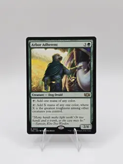 Arbor Adherent Commander: Tarkir: Dragonstorm Regular Near Mint - Image 1