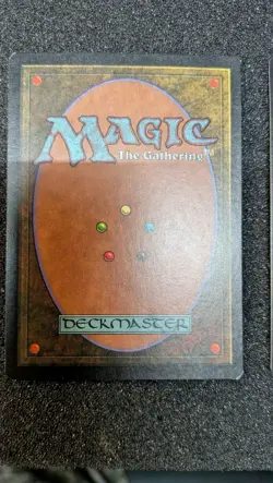 Enlightened Tutor Mirage Regular - Image 5