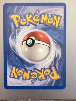 Pokemon Skyridge Swinub 107/144 🧊 Vintage WOTC e‑Reader Never Played - Image 2