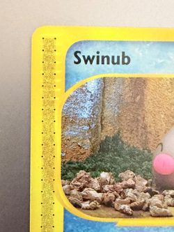 Pokemon Skyridge Swinub 107/144 🧊 Vintage WOTC e‑Reader Never Played - Image 3