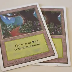 Magic: The Gathering Vintage Revised Lot - Forest, Pearled Unicorn, 20 Cards - Image 3