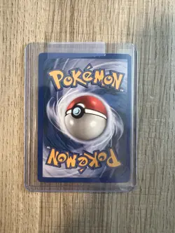 Ursaring Skyridge 110/144 Regular NM Pokemon - Image 2