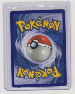 Pokemon PIKACHU Black Star Promo Card #1 WOTC Pack Fresh Never Played Free Ship - Image 2