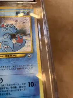 Pokemon CGC 9.5 Feraligatr Japanese Neo Premium File Mint+ Read Description - Image 4