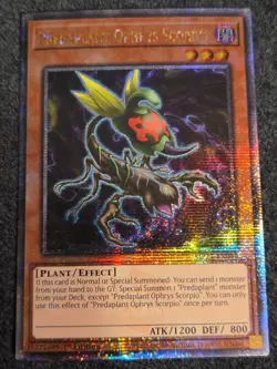 Yugioh x1 Predaplant Ophrys Scorpio MP24-EN041 Quarter Century (Near Mint!) - Image 1