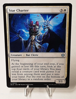 MTG - Bloomburrow - Star Charter - #0033 - Near Mint - Image 1