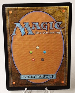 MTG - Bloomburrow - Pileated Provisioner - Foil - #0025 - Near Mint - Image 3