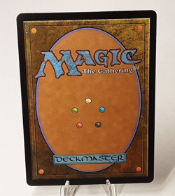 MTG - Bloomburrow - Shrike Force - #0031 - Near Mint - Image 3