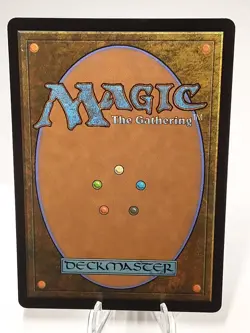 MTG - Bloomburrow - Swamp - 0273 - Full Art - #0273 - Near Mint - Image 3