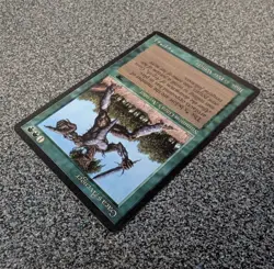 Gaea's Avenger - Antiquities ~LP~ Magic The Gathering MTG - Image 3