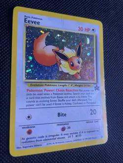 Pokemon - Eevee - #11 WOTC Black Star Promo - Holo Promo - Image 3
