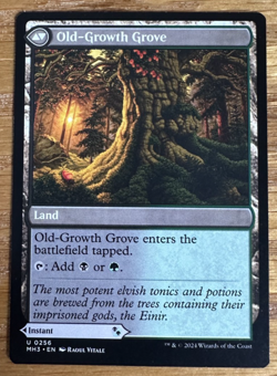 MTG Modern Horizons 3, Revitalizing Repast / Old-Growth Grove - Image 2
