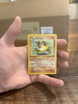 Pokemon TCG Primeape 43/64 1ST Edition Jungle Regular Rare - Image 1