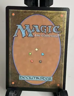 Hedge Maze 0262 MTG NM - Image 5