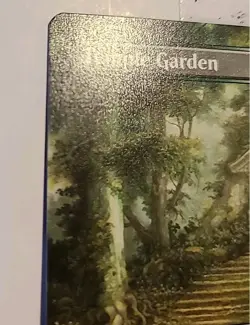 Magic The Gathering - Temple Garden (Borderless) - 351 - ECL - NM - Image 2