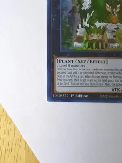 Alsei, The Sylvan High Protector MAZE-EN052 Super Rare 1st Ed NM | YuGiOh - Image 4