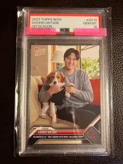 PSA10 Shohei Ohtani Dog Decopin Co starring MVP Award Commemorative Card TOPPS N - Image 1