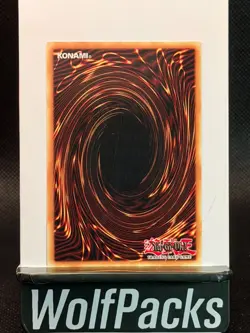 Yu-Gi-Oh! Rise of the Duelist - Capricious Darklord ROTD-EN023 1st Edition - Image 2