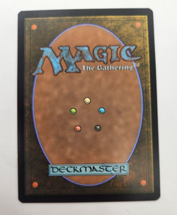 Tanazir Quandrix (Borderless) - Near Mint English MTG Strixhaven - Image 2