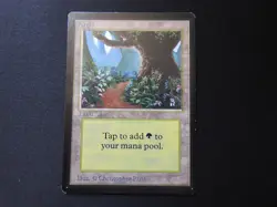Forest (B) HP/DMG [Limited Edition Beta] Mtg Magic Free Tracking! - Image 1