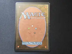 Forest (B) HP/DMG [Limited Edition Beta] Mtg Magic Free Tracking! - Image 2