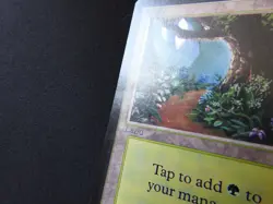 Forest (B) HP/DMG [Limited Edition Beta] Mtg Magic Free Tracking! - Image 3
