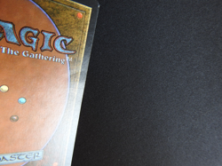 Forest (B) HP/DMG [Limited Edition Beta] Mtg Magic Free Tracking! - Image 4