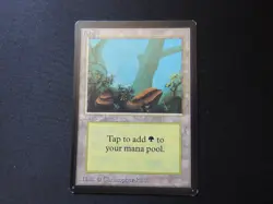 Forest (A) LP/MP [Limited Edition Beta] Mtg Magic Free Tracking! - Image 1