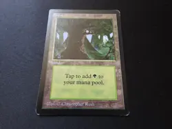 Forest (C) MP [Limited Edition Beta] Mtg Magic Free Tracking! - Image 2