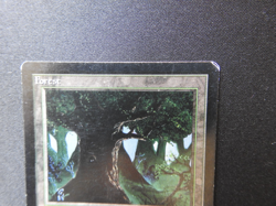 Forest (C) HP [Limited Edition Beta] Mtg Magic Free Tracking! - Image 2