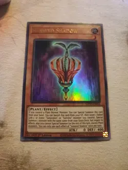 Yugioh! Sunseed Shadow - GFTP-EN016 - Ultra Rare - 1st Edition Near Mint, Englis - Image 1