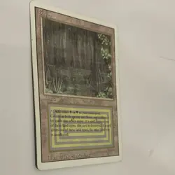 Bayou Revised Edition Rare Land Jesper Myrfors Magic: The Gathering English - Image 2