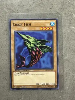Crazy Fish - SBTK-EN008 - Common - 1st Edition YuGiOh - Image 1