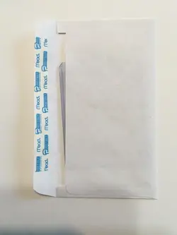 Pecharunt - Shrouded Fable #129 Black Star Promo 2024 Pokemon Trading Card. - Image 3