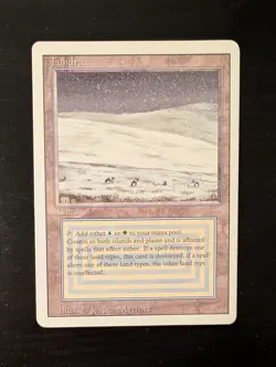 MTG Tundra Revised Edition Regular LP/MP - Image 1