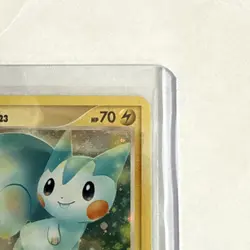 Pachirisu - DP04 Diamond and Pearl Promos #DP4 (2007) Promo Holo LP Pokemon - Image 4