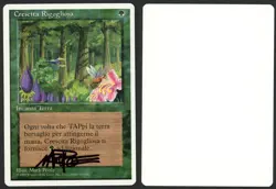 ***Italian Wild Growth Artist Proof Signed** MTG Revised Mark Poole Kid Icarus - Image 1