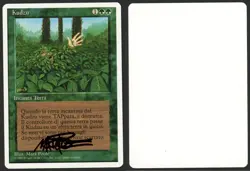 ***Italian Kudzu Artist Proof Signed** MTG Revised Mark Poole Kid Icarus - Image 1
