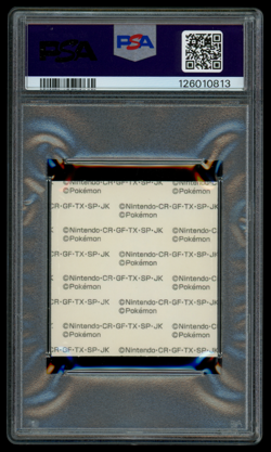 PSA 10 Pokemon Japanese Fuecoco Daiichi Pan Deco Character Part 203 Sticker - Image 2