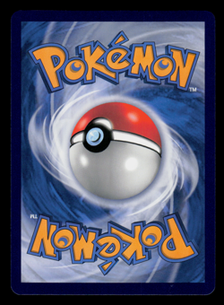 LP - Pokemon Indonesia Rockruff 151/SV-P Good Day Coffee Promo - Image 2