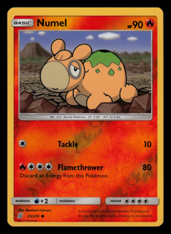 NM/EXC - Pokemon Numel 23/236 Unified Minds Reverse Holo Common - Image 1