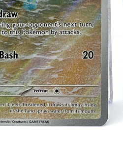 Squirtle 170/165 - Scarlet & Violet 151 - Illustration Rare IR - Pokemon - NM - Image 5