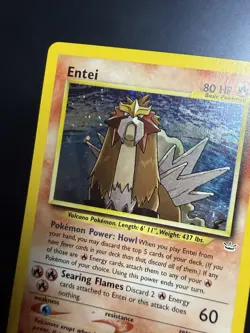 Pokemon Entei 06/64 Neo Revelation Holo Rare Basic 80 HP 2000 - Image 4
