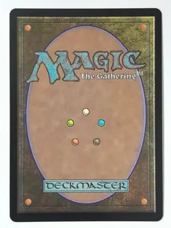 Wakka, Devoted Guardian (Chocobo Track Foil Borderless) - NM - FIC FIN MTG Magic - Image 2